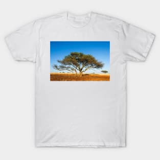 Camel thorn acacia tree in the Kalahari (C021/1700) T-Shirt